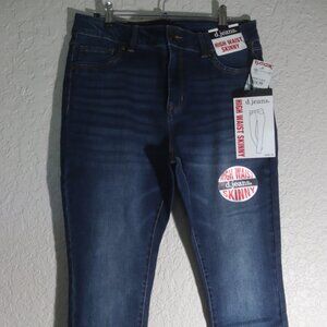 D. Jeans High Waist Skinny Jeans Size 12 Dark Sage NWT